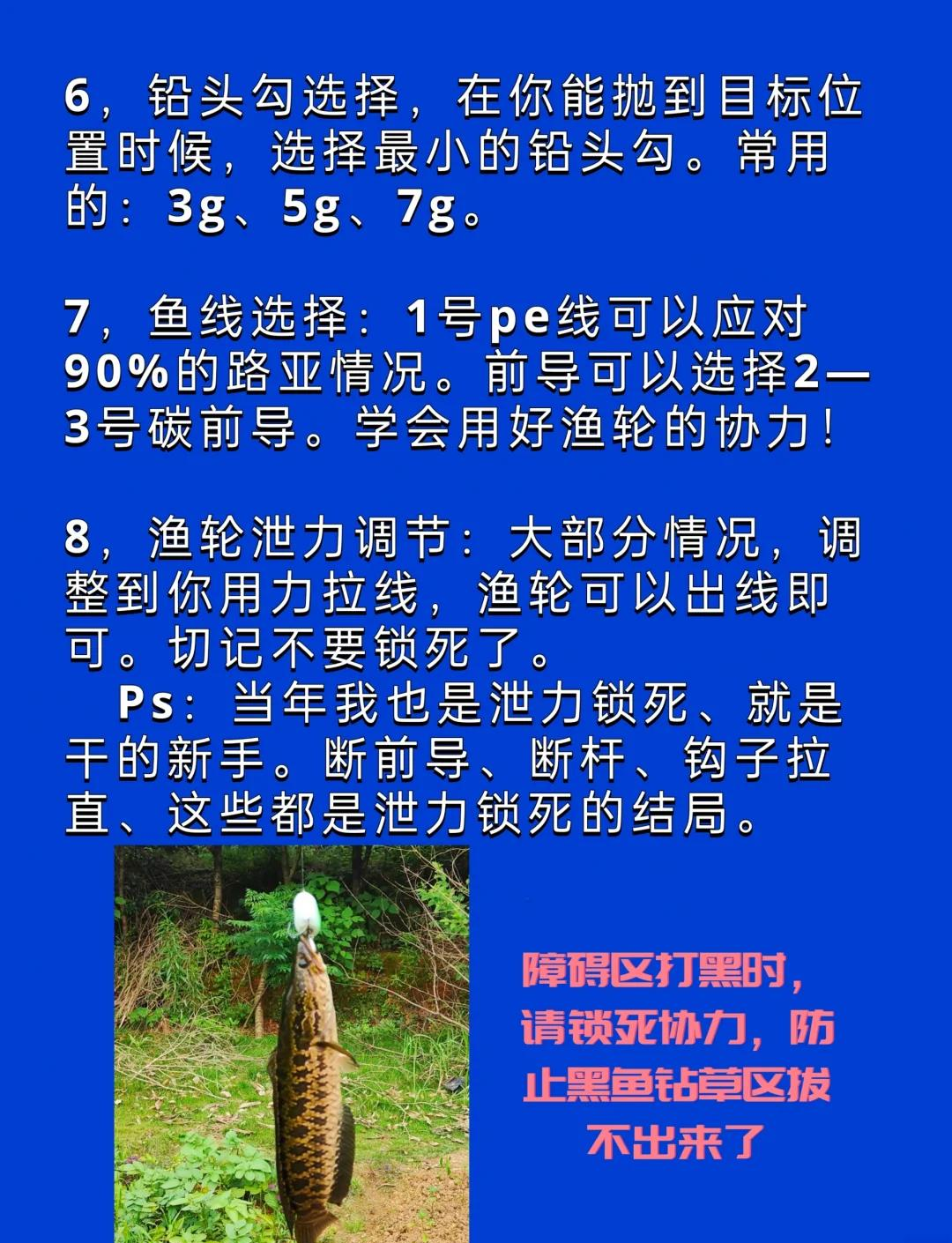 钓鱼技巧视频(多钩钓鱼技巧视频)