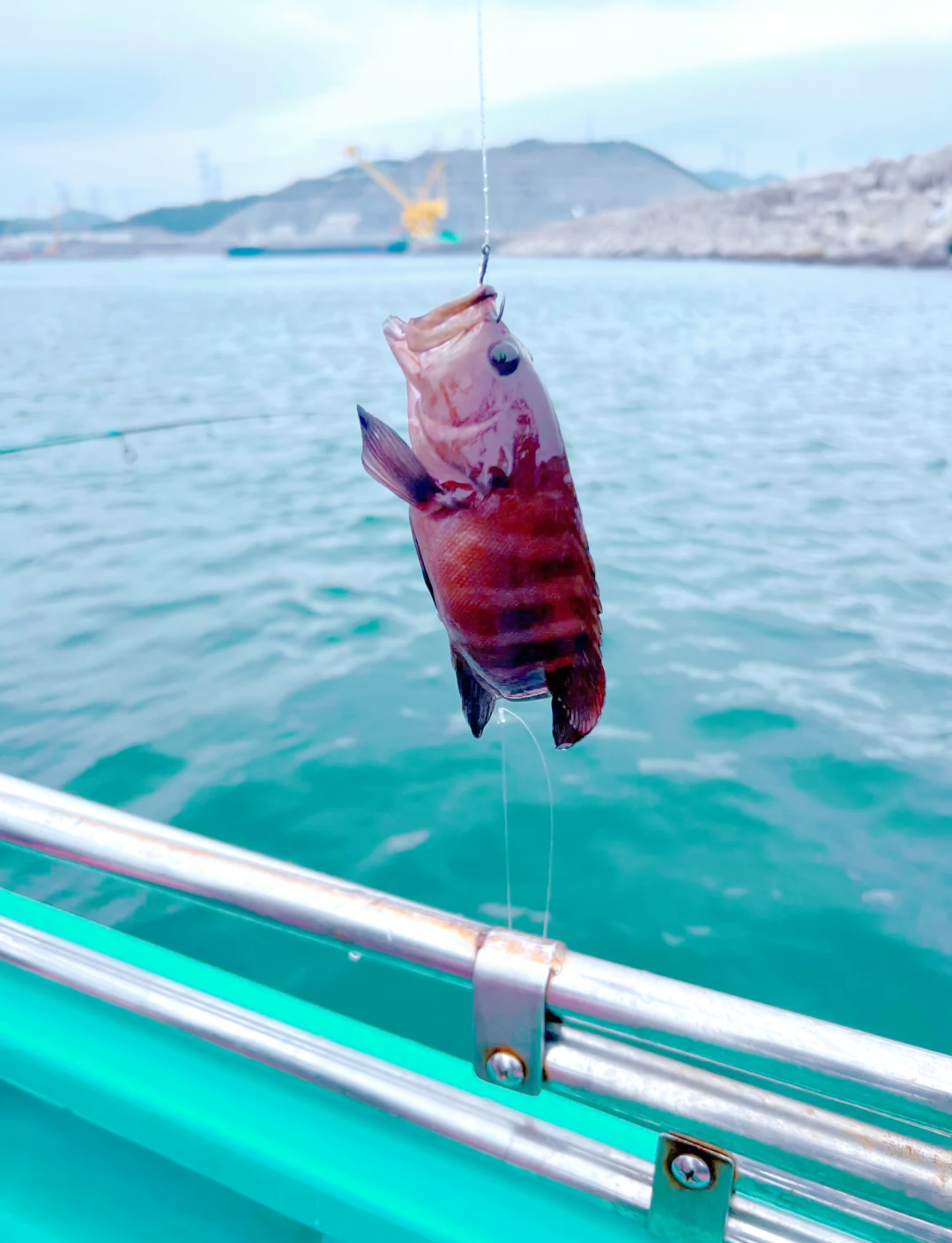 南极海钓(南极虾钓鱼效果如何)