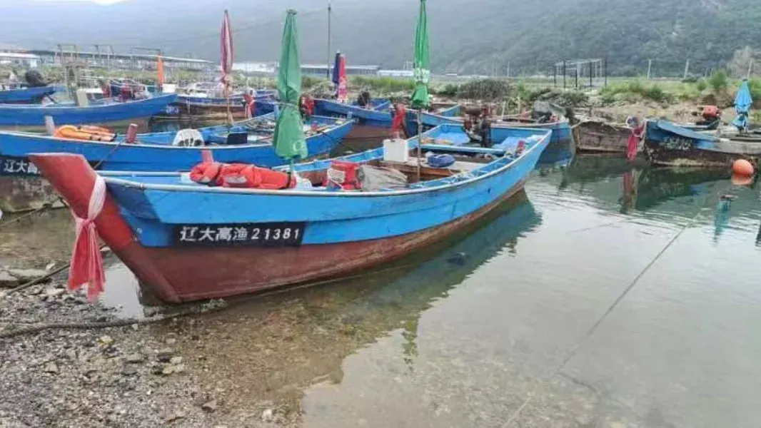 大连国际海钓展(大连海钓视频大全集)