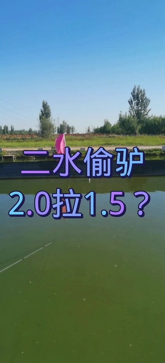 冬季黑坑偷驴鲤鱼技巧(冬季黑坑鲤鱼偷驴饵料味型)
