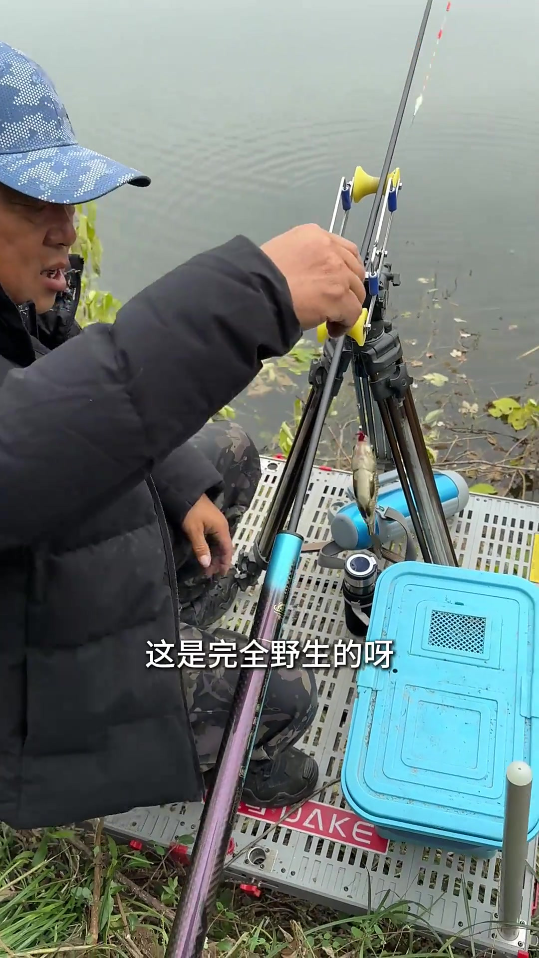 深冬传统钓鯽技巧(深冬钓鲫鱼用啥饵料好)