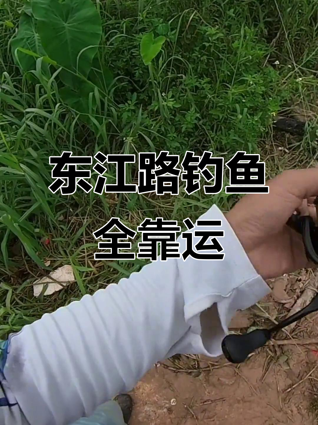 东江里路亚(东江大桥路亚)
