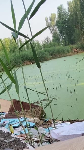 浮萍中打黑技巧(浮萍打黑适合用什么饵)