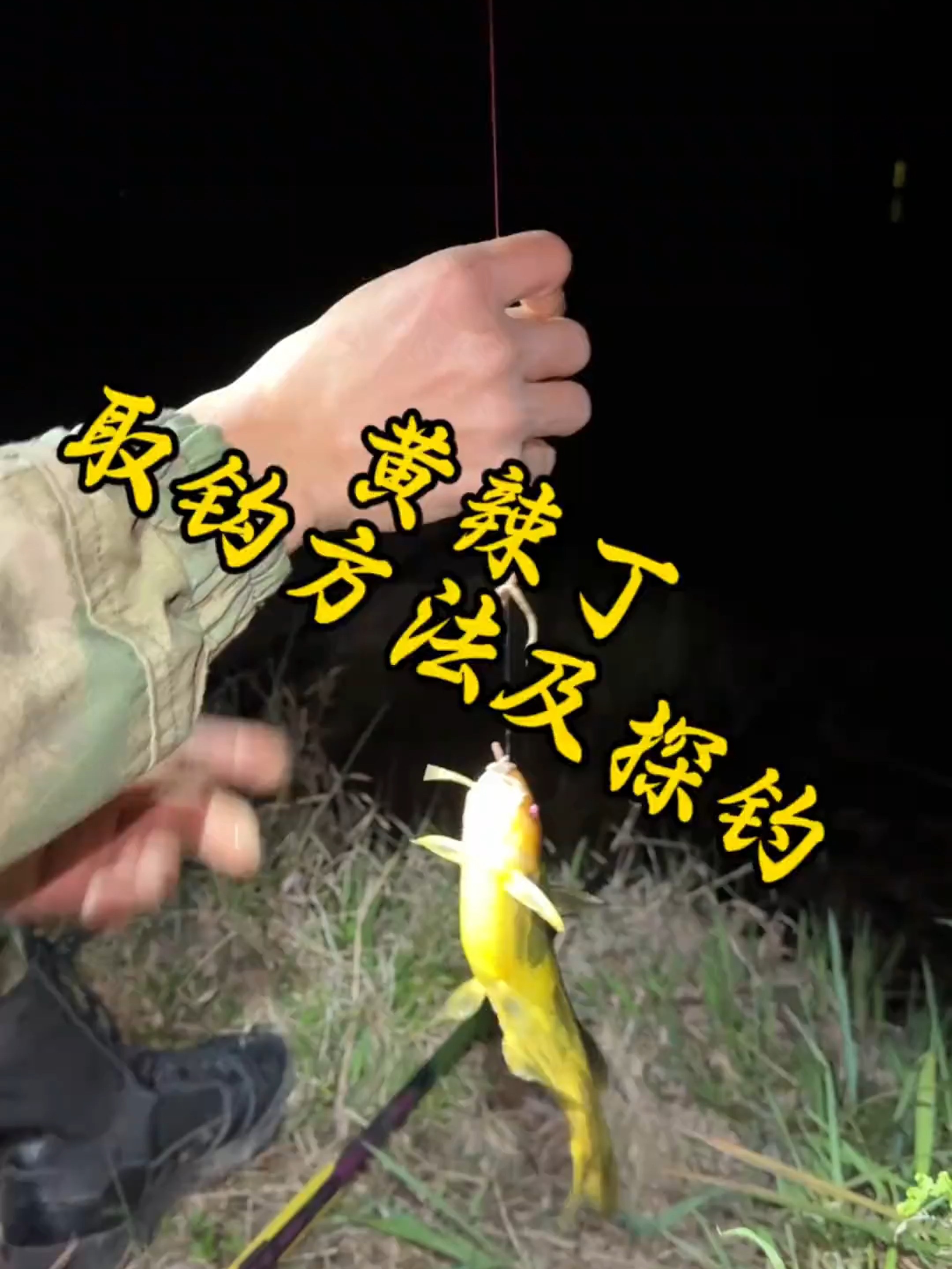 夏天钓黄辣丁技巧(夏天钓黄辣丁钓深还是浅)
