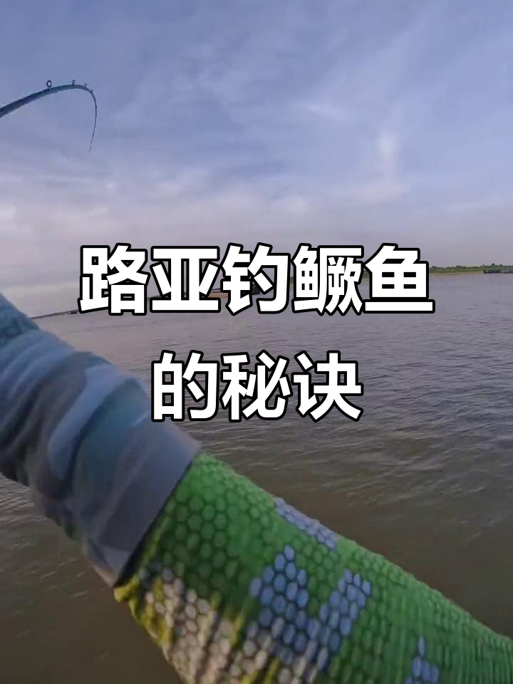 路亚怎么钓鳜鱼(路亚钓鳜鱼最佳时间)