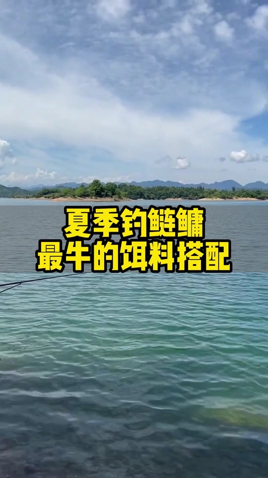 天元饵料a8(天元饵料最正宗配方表)