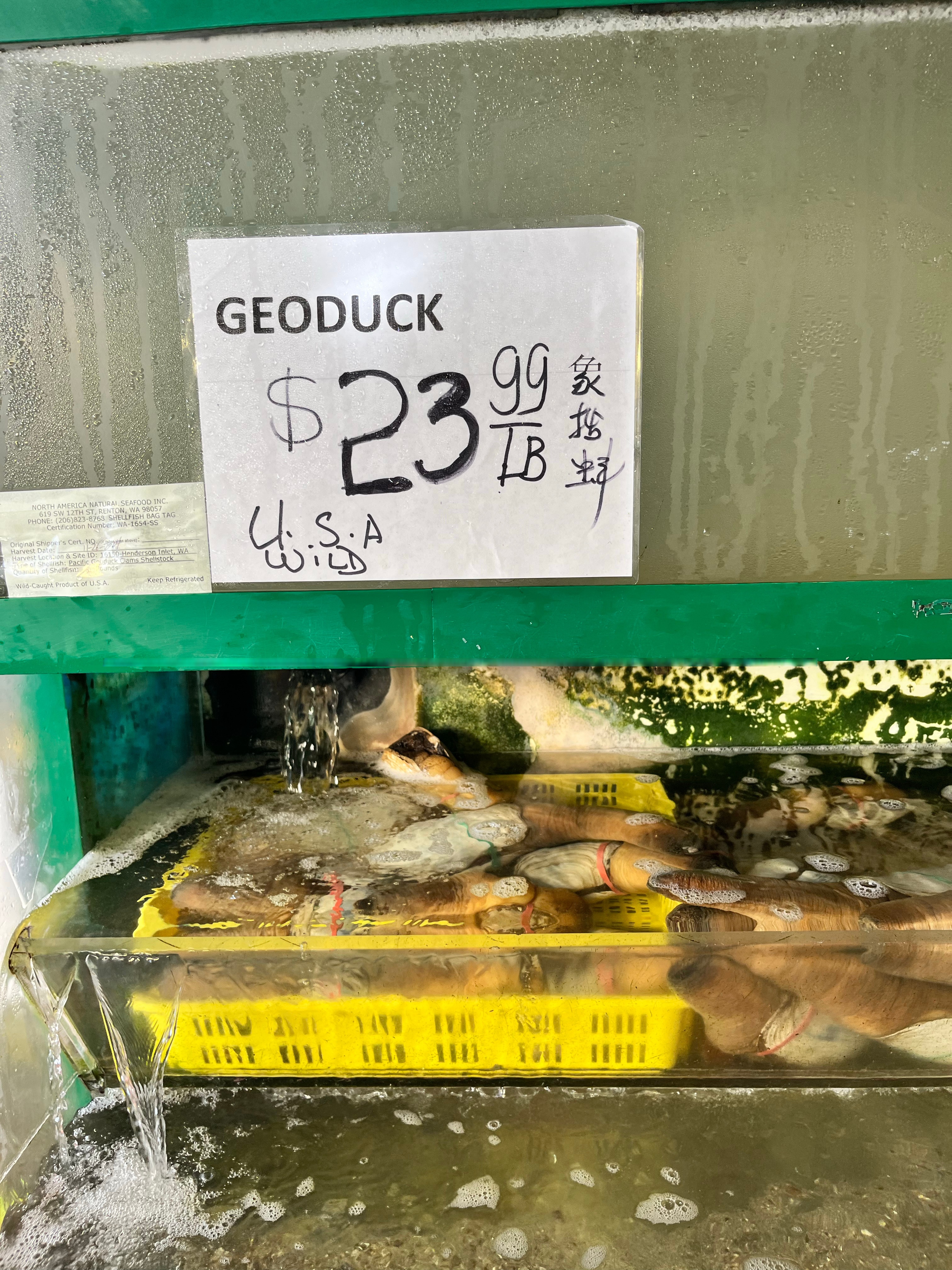 美国的渔具超市(美国的渔具超市在哪里)