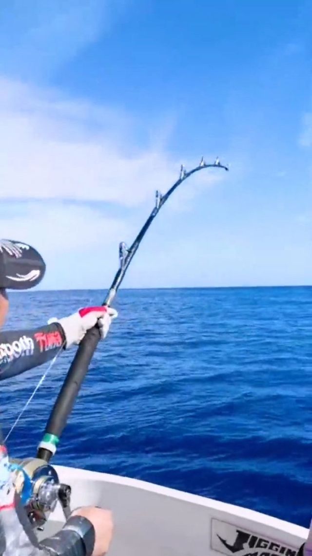 海钓大鱼的视频(钓鱼视频海钓实战大鱼)