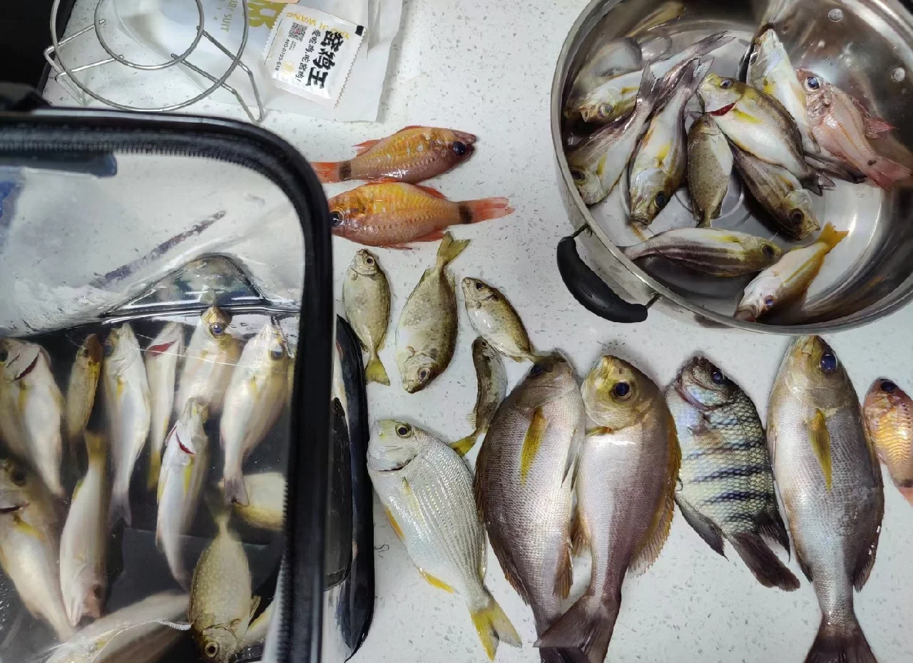 海钓大鱼视频大全高清(最新海钓鱼视频大全)