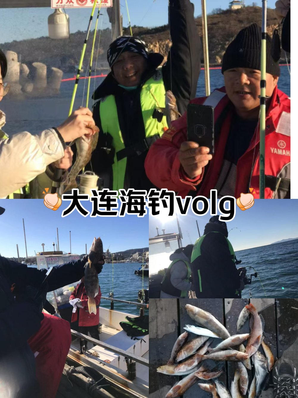 在码头海钓(码头海钓技巧教学视频)