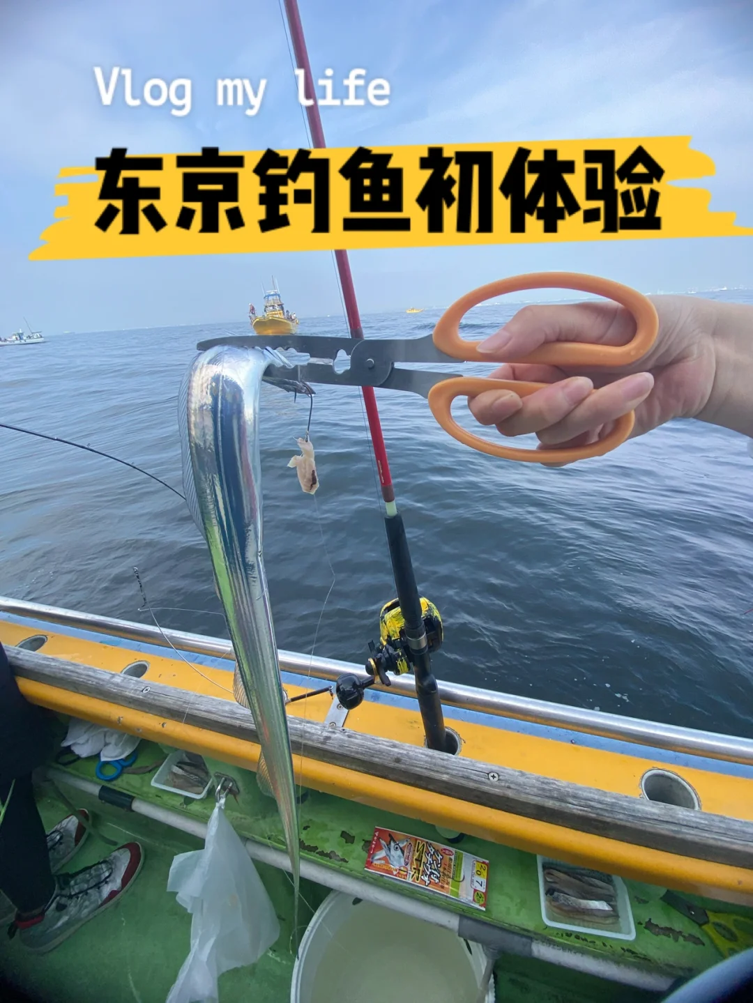 船钓刀鱼的技巧(用船钓鱼)
