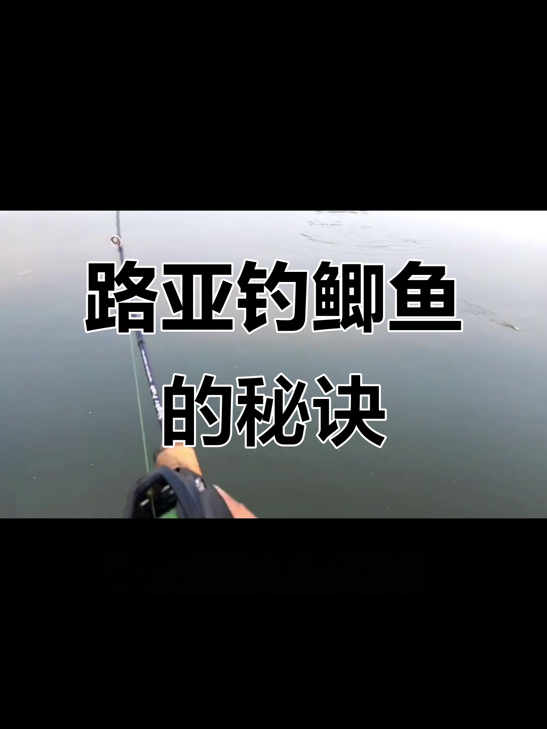 路亚能路鲫鱼吗(路亚可以钓鲫鱼嘛)
