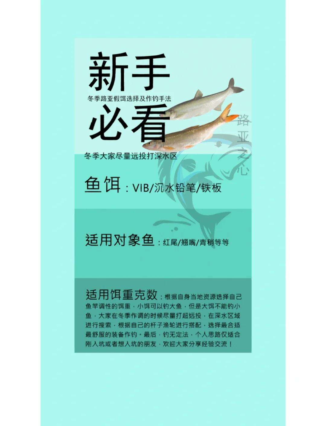 冬季路亚技术(冬季路亚手法技巧视频教程)