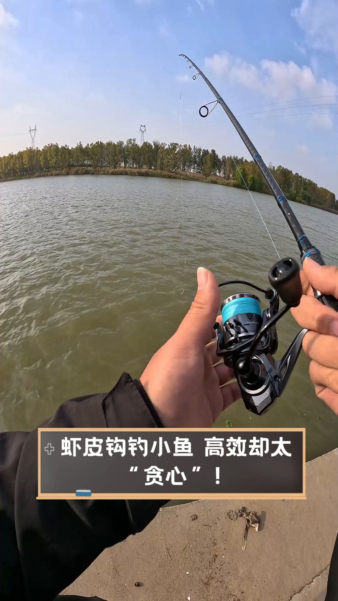 虾皮钩钓翘嘴拉杆技巧(虾皮钩钓翘嘴拉杆技巧和方法)
