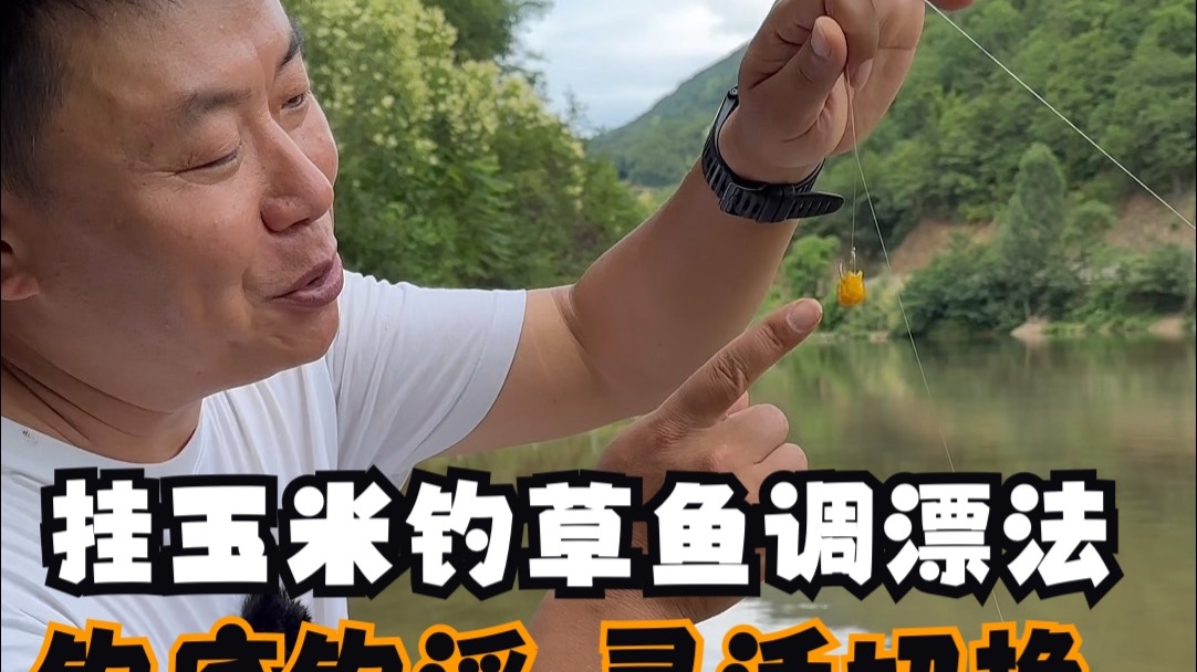 秋季钓草鱼技巧玉米(深秋玉米钓草鱼)