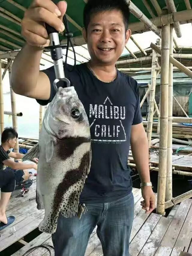 组织海钓(钓海鱼钓组)