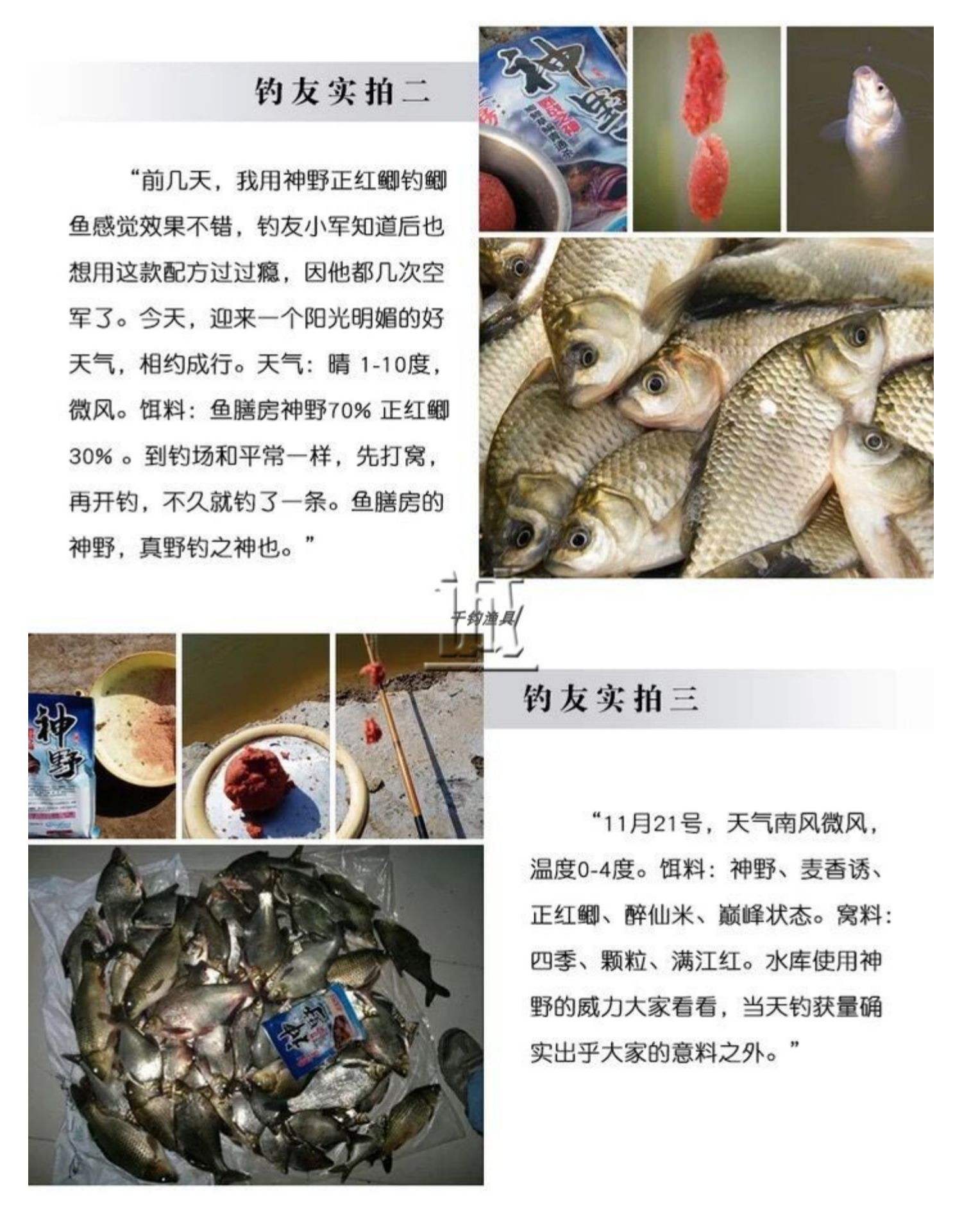 夏天饵料配方图(夏天饵料加什么小药)