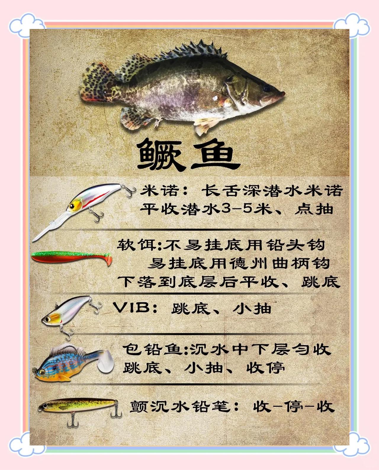用饵技巧(饵料使用教学视频)