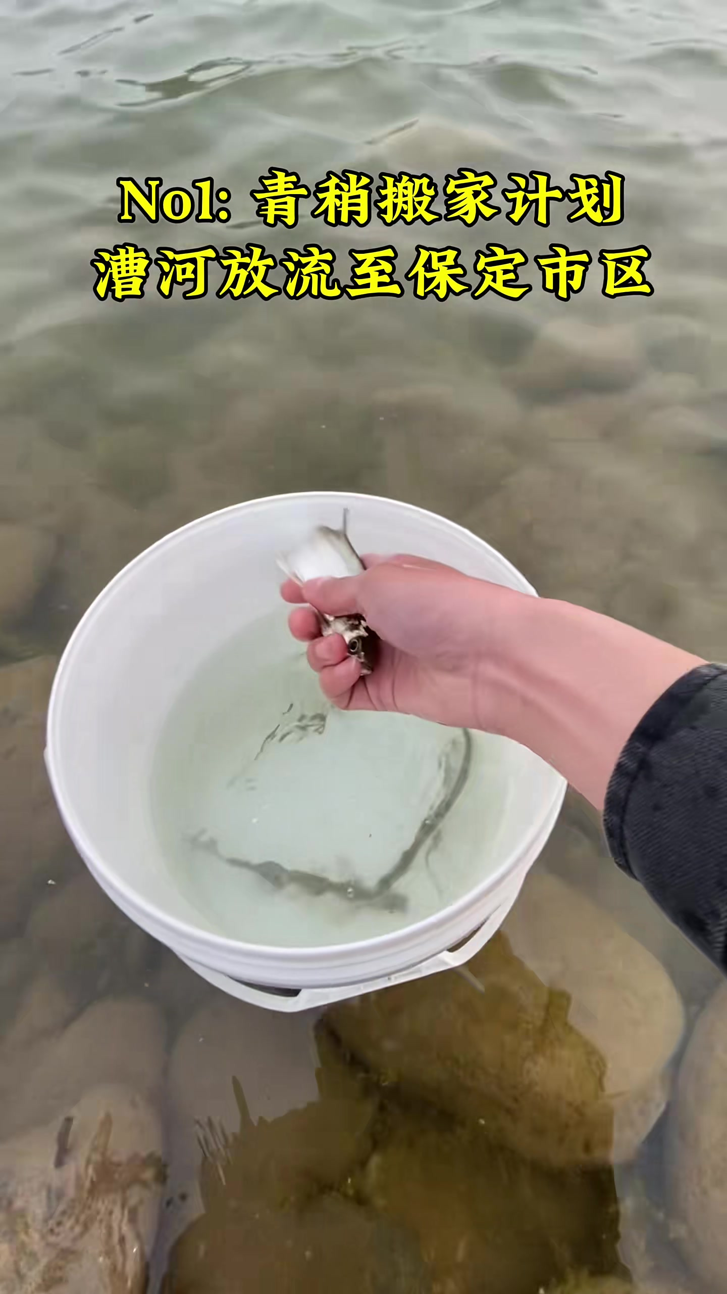 玩路亚放流(路亚钓流水怎么操作)