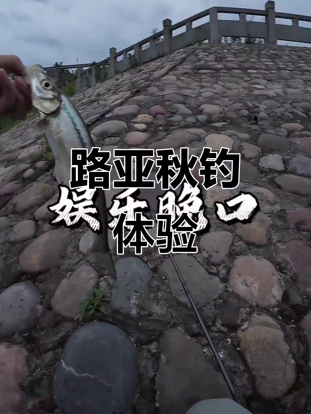 玩路亚放流(路亚钓流水怎么操作)