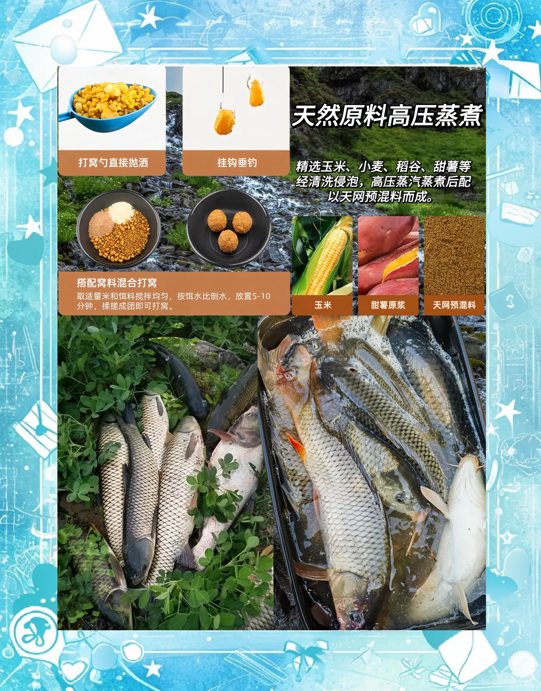 黑坑钓青鱼上饵技巧(黑坑钓青鱼上饵技巧视频)