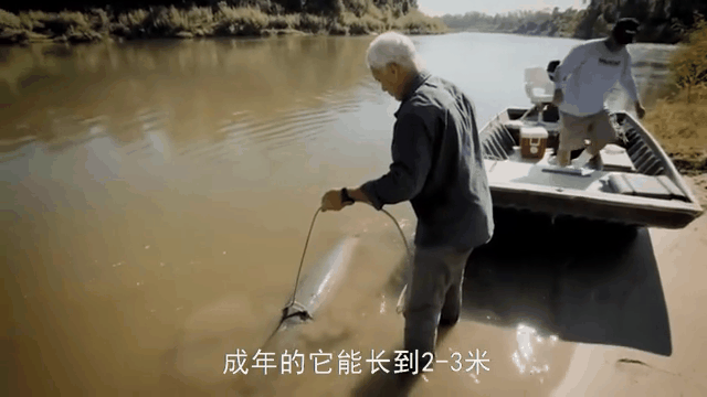 钓鱼绑线技巧动图(绑钓鱼线的方法)