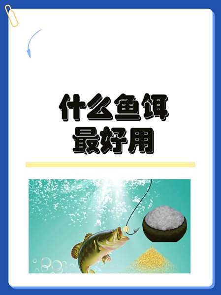 荤素饵料搭配(荤素搭配比例是多少)