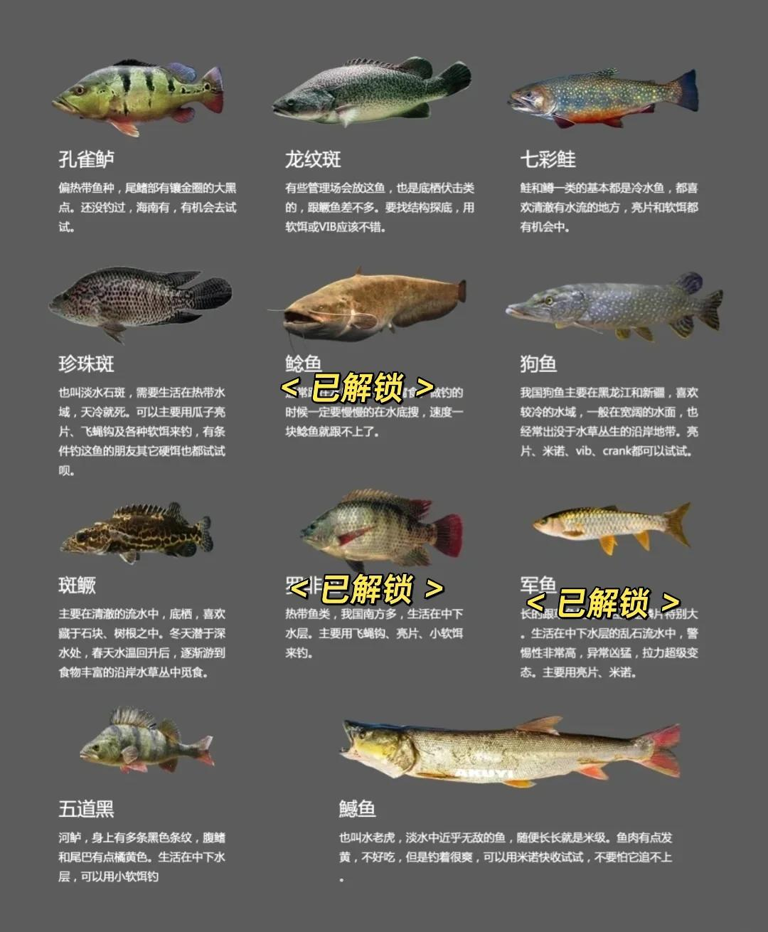 路亚针对鱼种(路亚鱼种类)