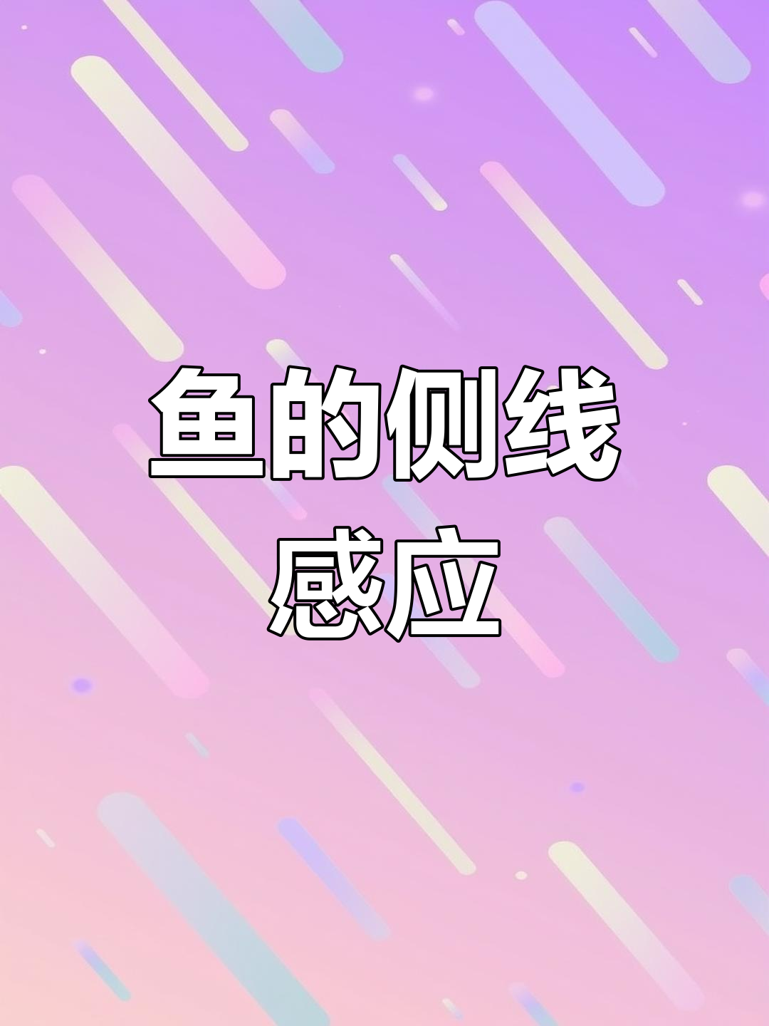晚上用路亚怎么使用(晚上用路亚能钓什么鱼)