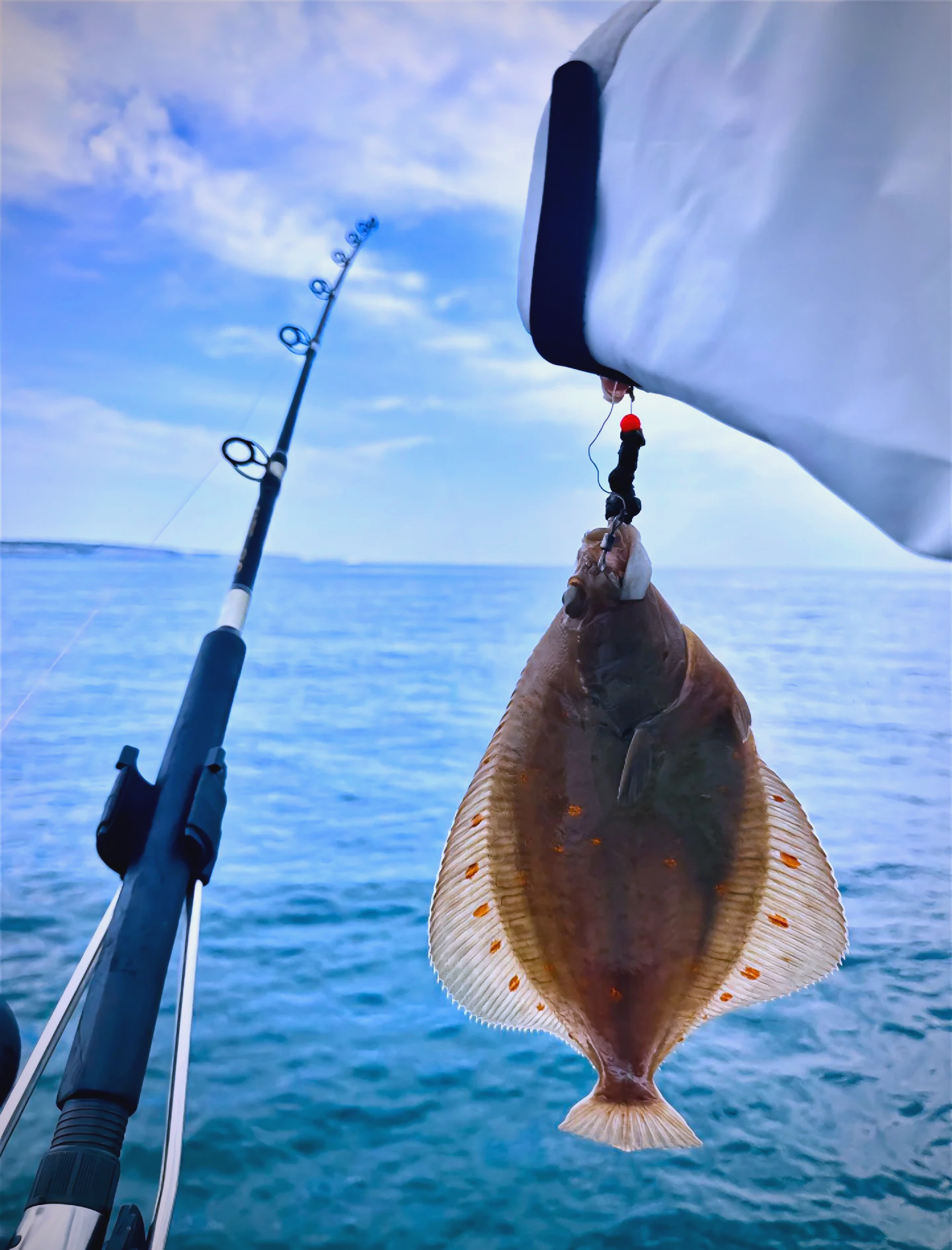 广西北海免费海钓(广西北海海钓好玩吗)