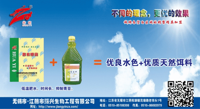 天元肥水饵料配方(天元肥水饵料配方表)