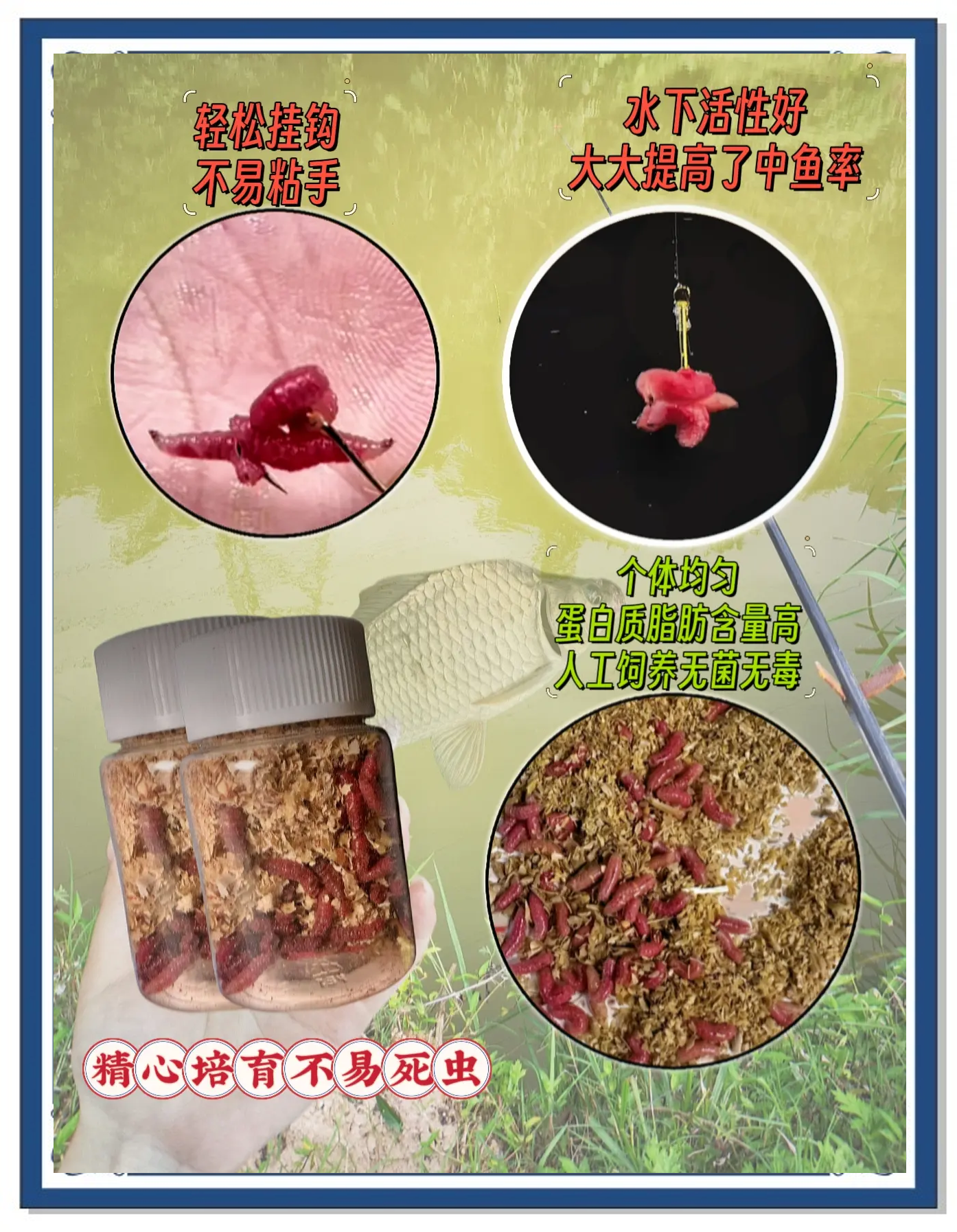 渔具店红虫怎样保鲜(红虫如何保鲜)