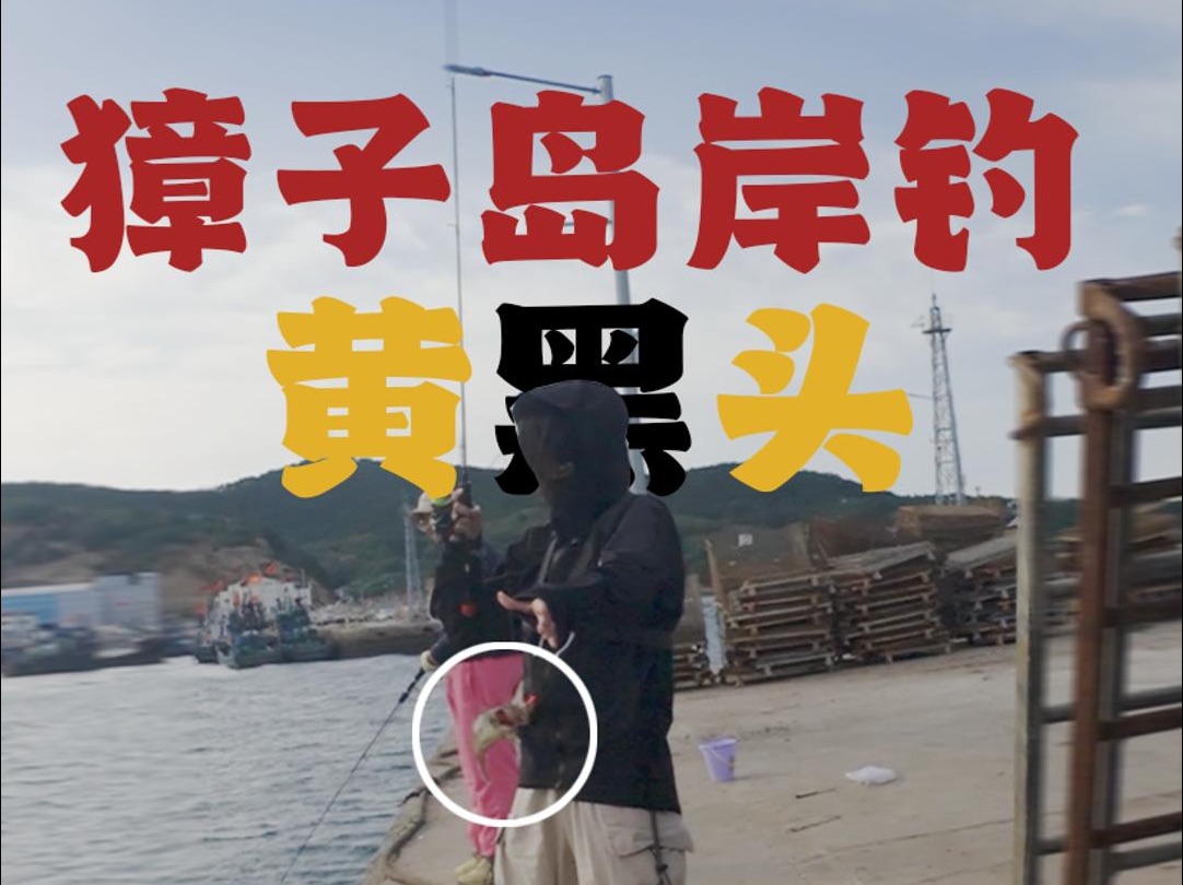 大连岸钓技巧(大连海钓)