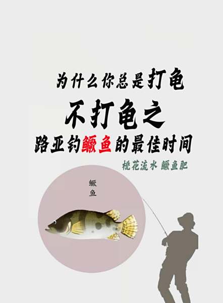 溪流路亚鳜鱼技巧(溪流路亚斑鳜)
