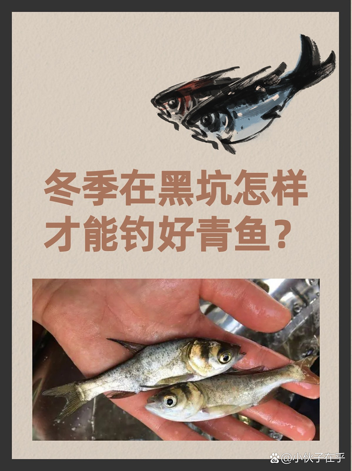 冬天黑坑钓鱼技巧(冬天黑坑钓什么位置呢)
