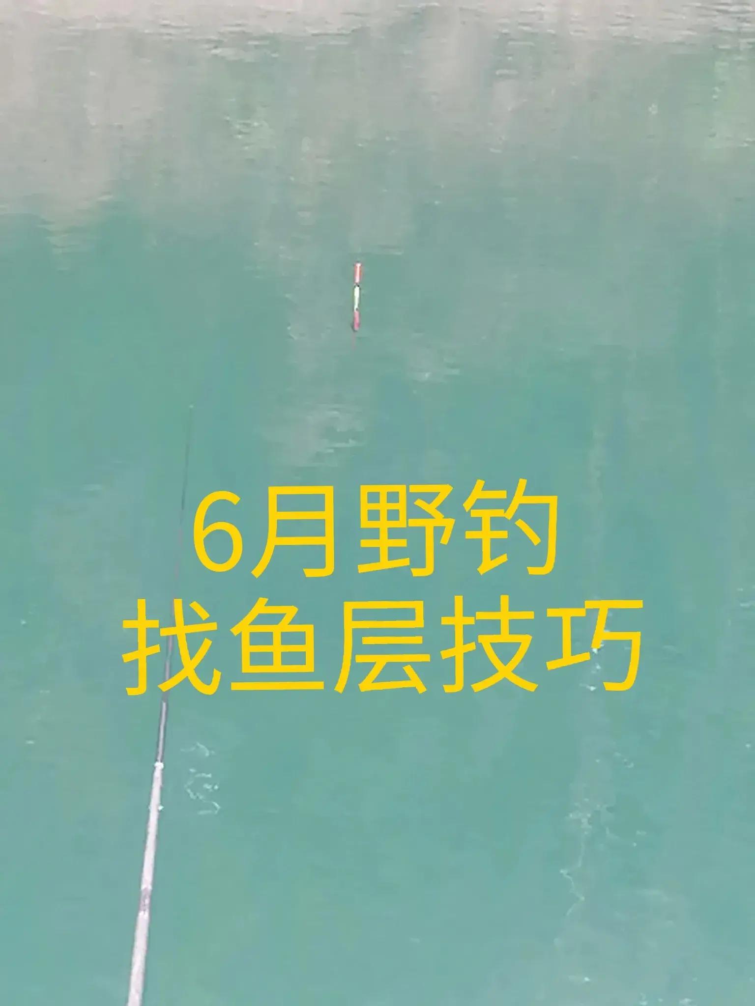 江河水域垂钓技巧(江河水域垂钓技巧和方法)