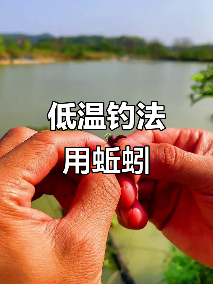 用蚯蚓野钓技巧(用蚯蚓怎么钓)