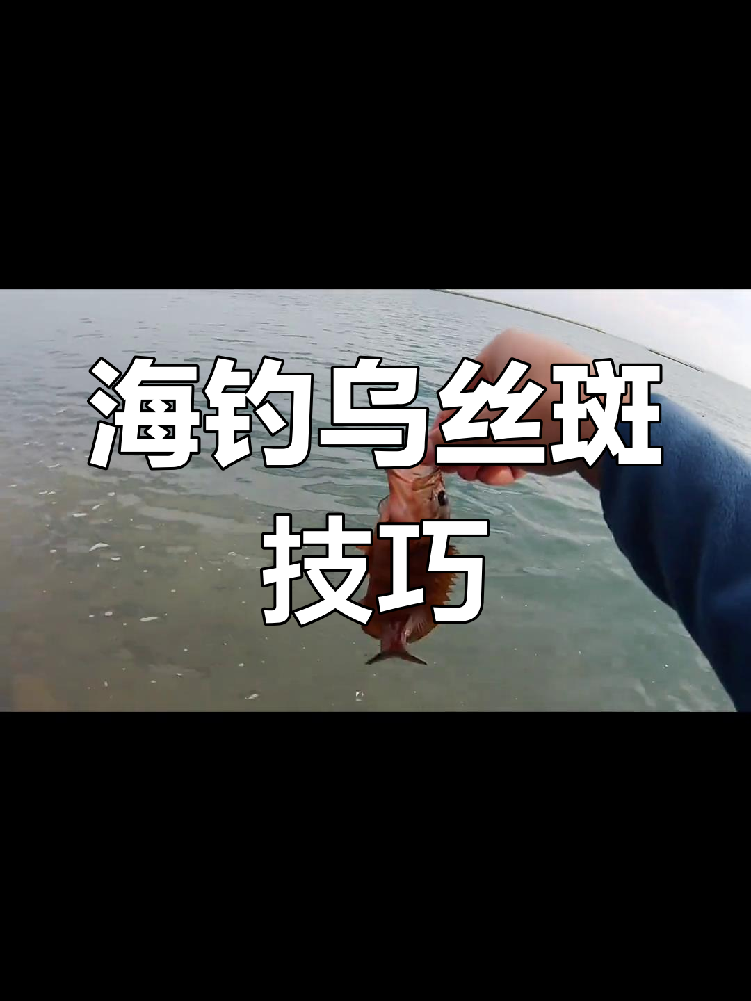 关于海钓的技巧视频(关于海钓的技巧视频讲解)