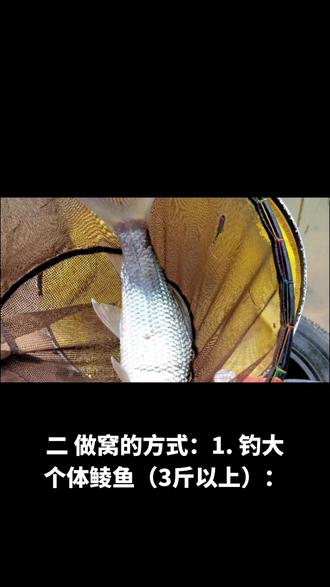 冬季夜钓土鲮技巧(夜钓土鲮钓多深的水)