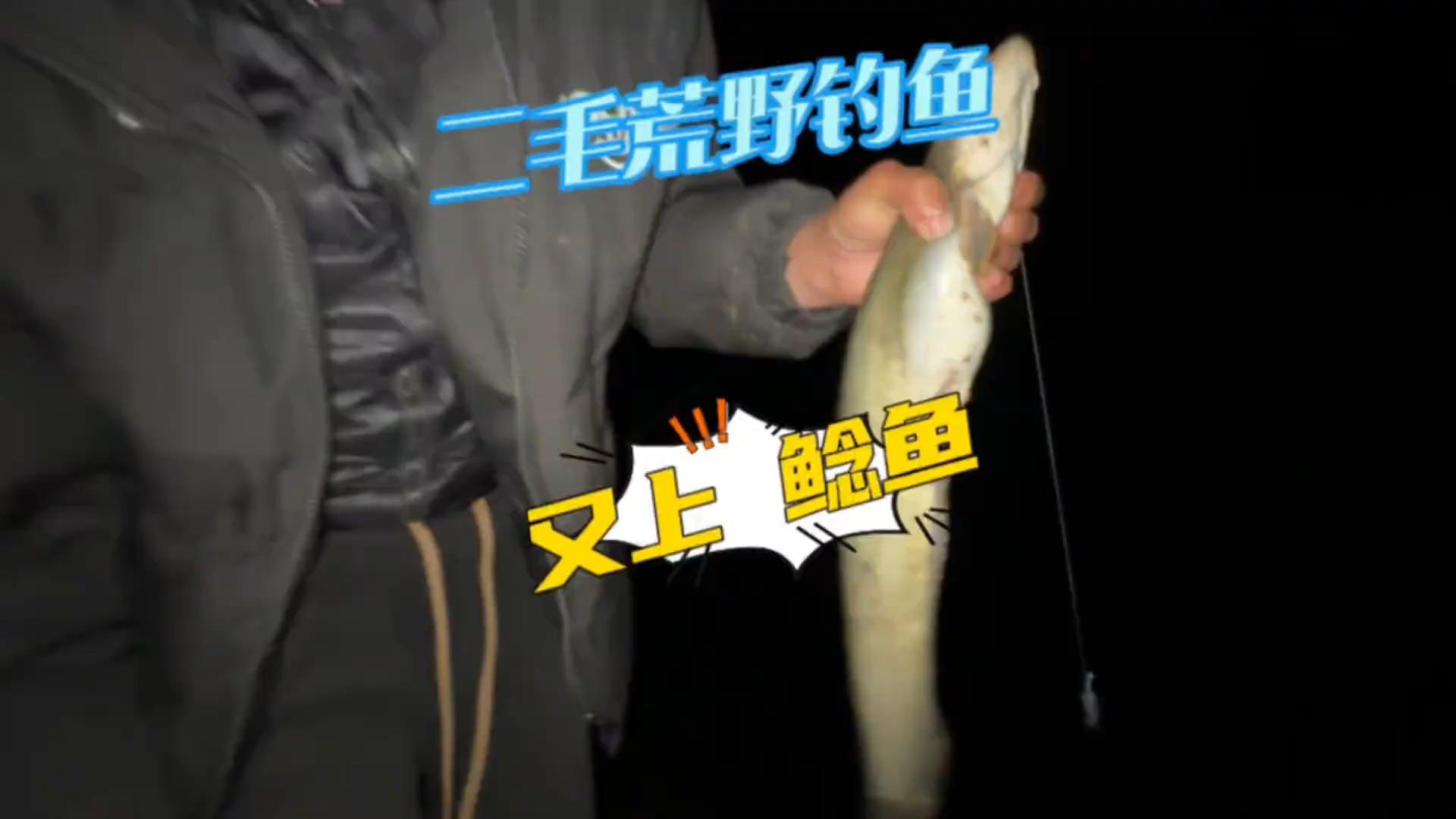 钓江鲶用什么饵料(怎么钓江鲶)