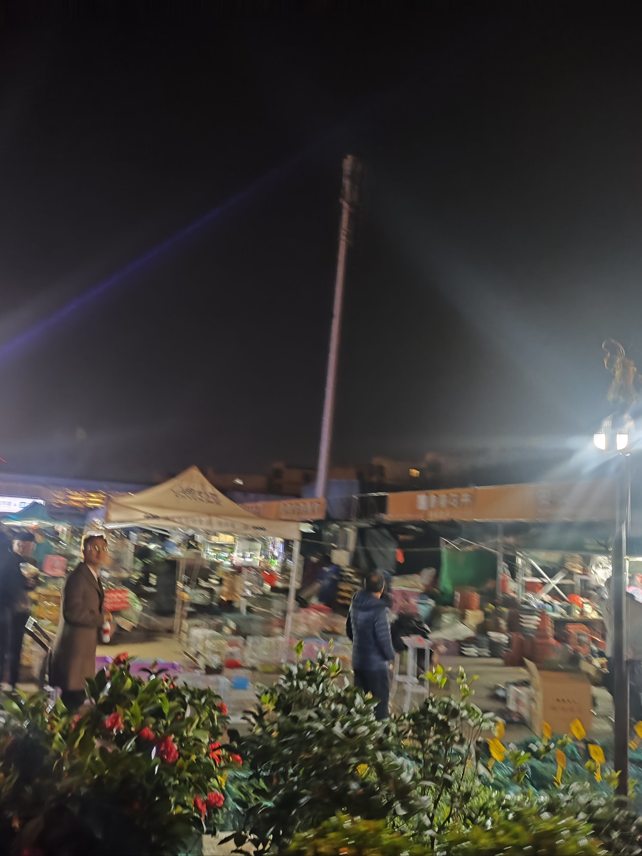 合肥晚上买渔具(合肥渔具展销会什么时候)