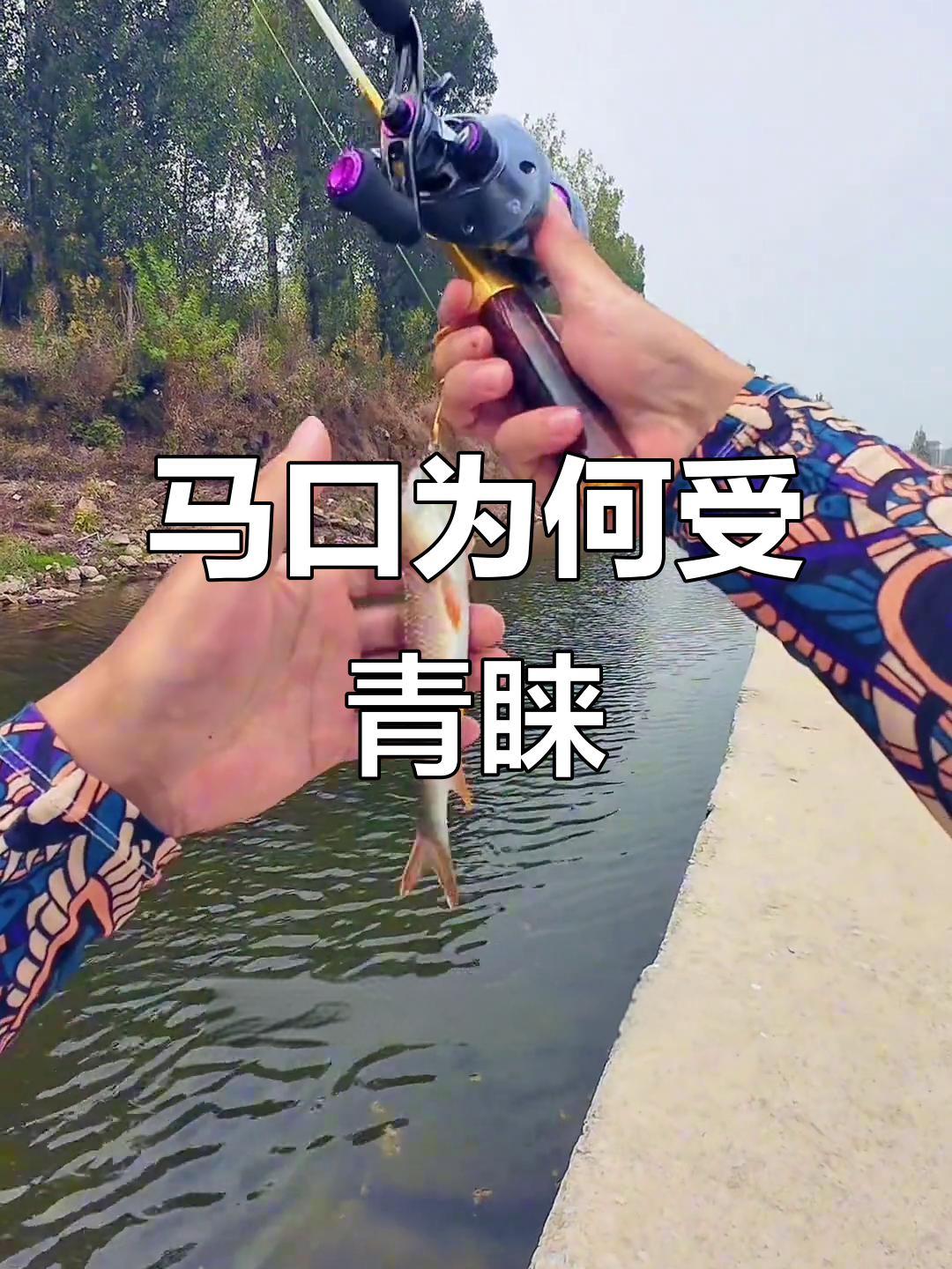 路亚钓马口鱼视频(路亚钓马口的视频)