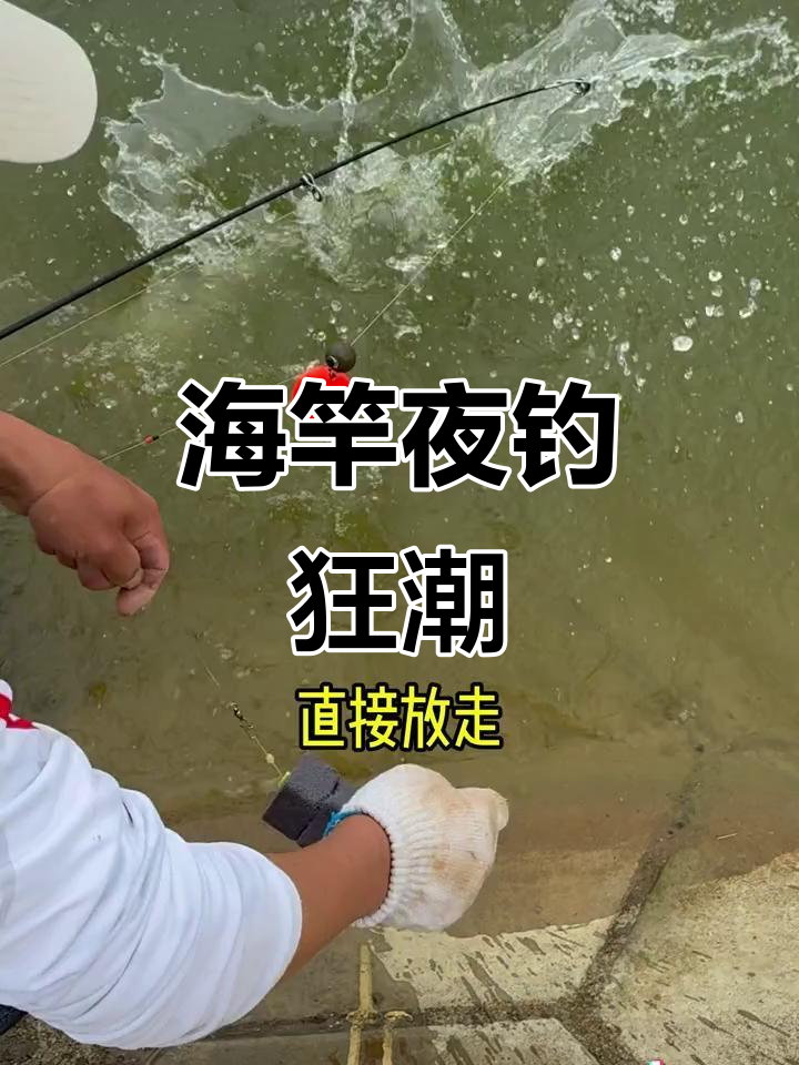 初秋夜晚钓鲢鳙技巧(初秋夜钓鲢鳙钓多深效果更佳)