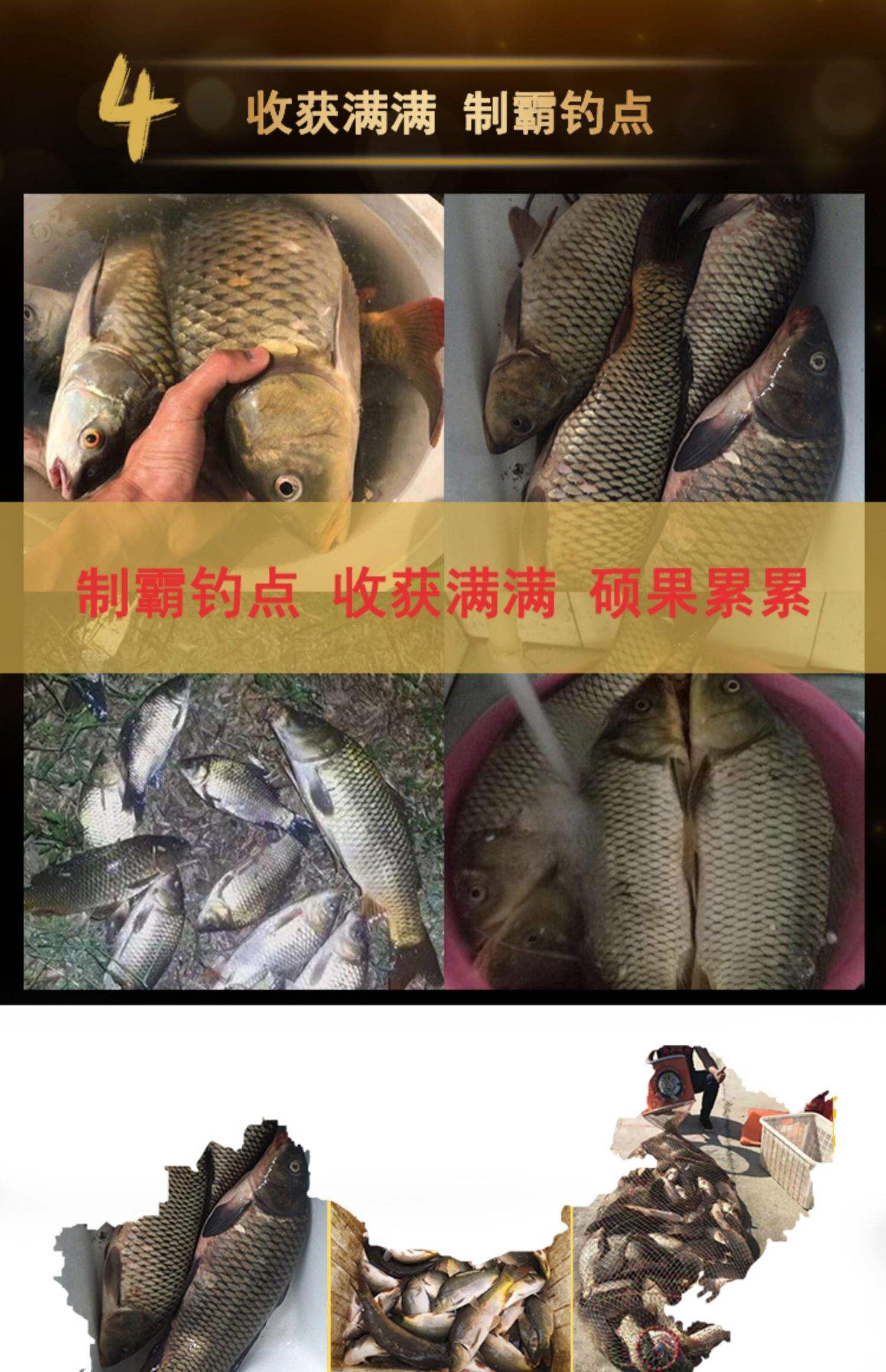 中秋鲤鱼怎么配饵料(中秋钓鲤鱼技巧)