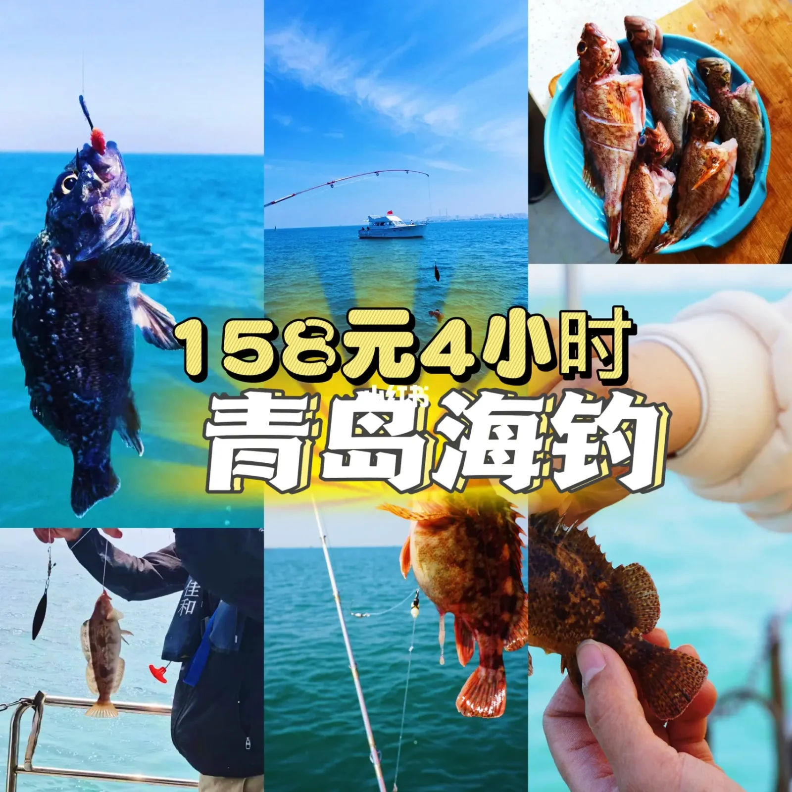 17年塘沽海钓位置(塘沽钓海鱼的地方)