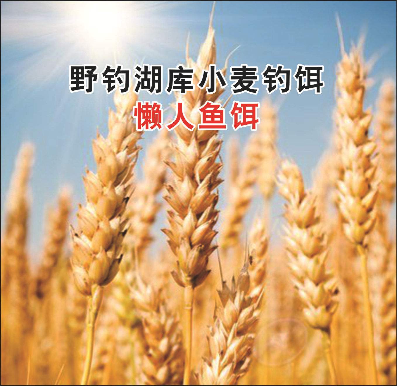卡麦子饵料(顶级卡麦饵做法)