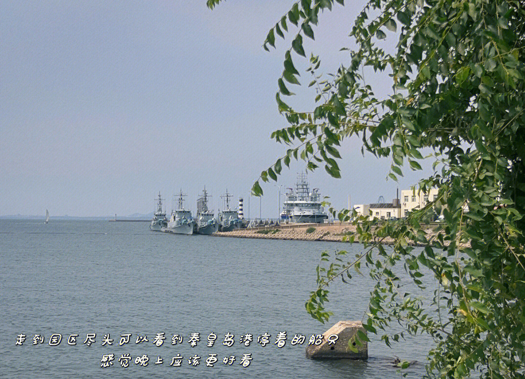秦皇岛冬季海钓地点(秦皇岛冬季钓鱼)