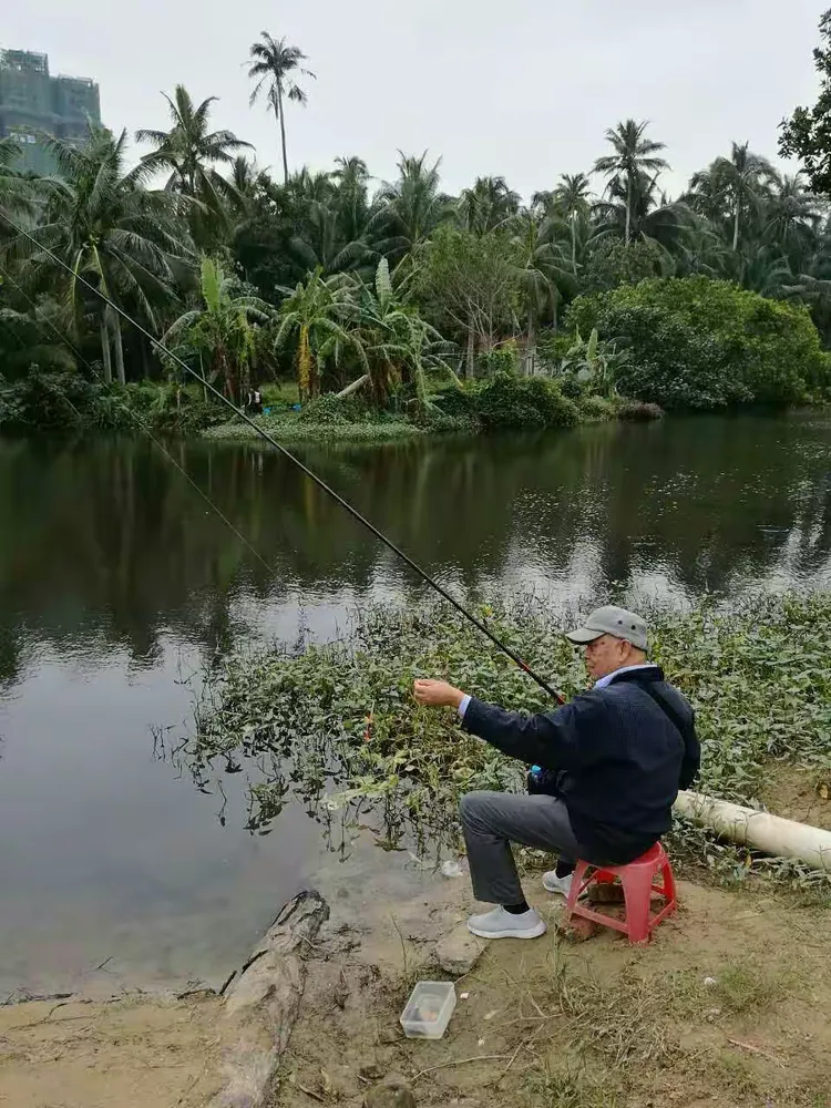 文昌怎么出海钓鱼(文昌出海钓鱼价格)