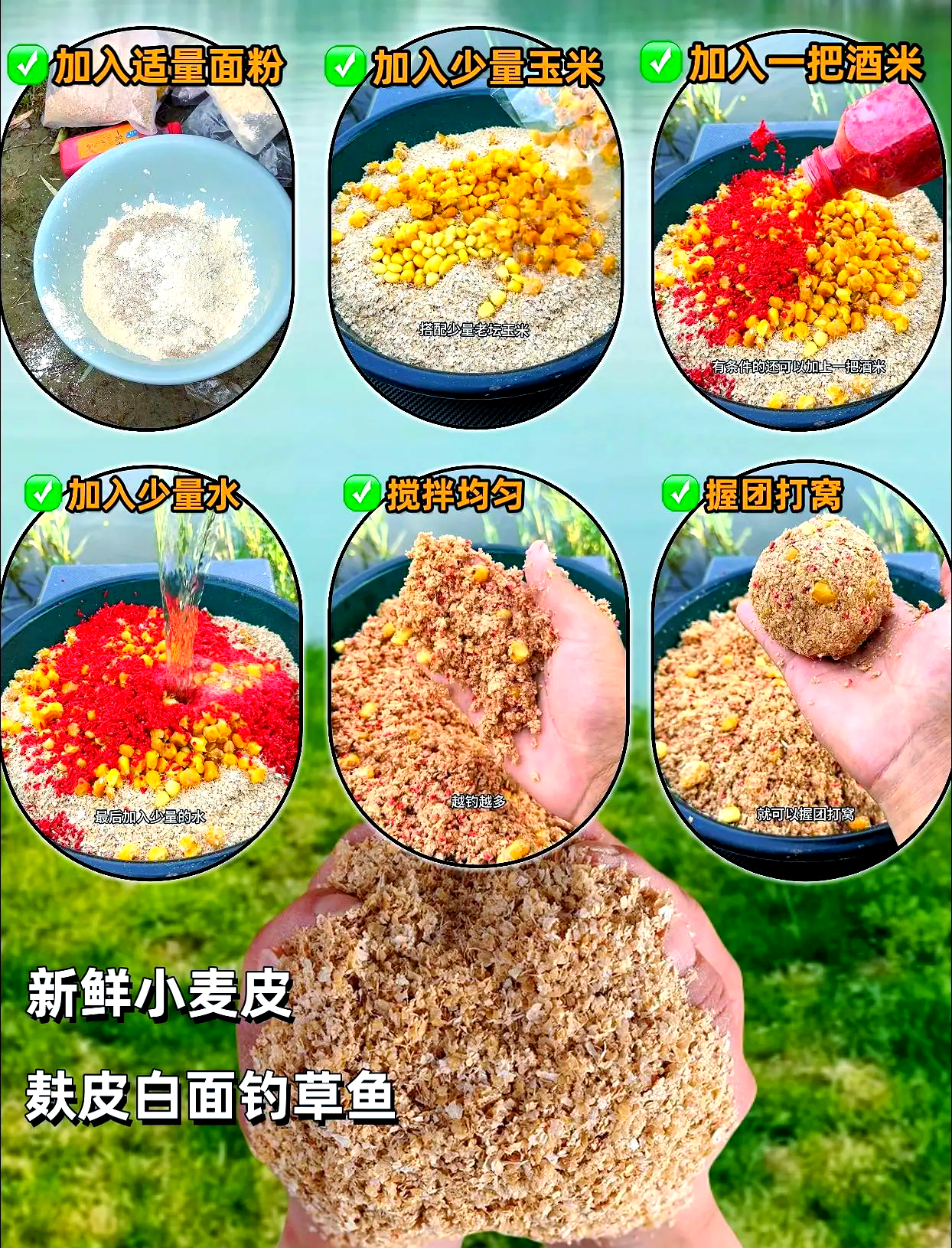 麦麸皮配饵料(麦麸做饵料)