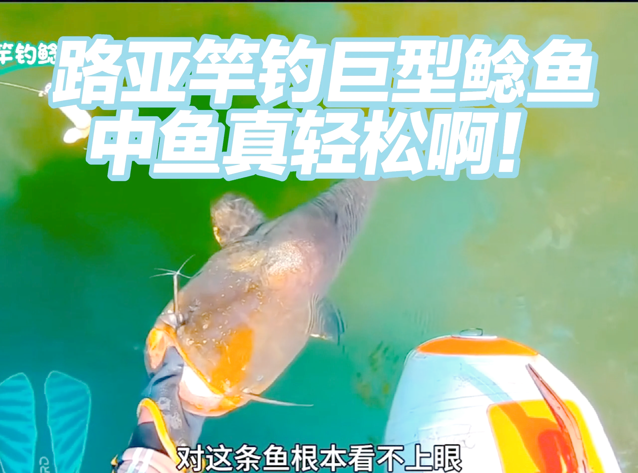 路亚鲶鱼用什么饵最好(路亚鲶鱼用什么饵最好钓)